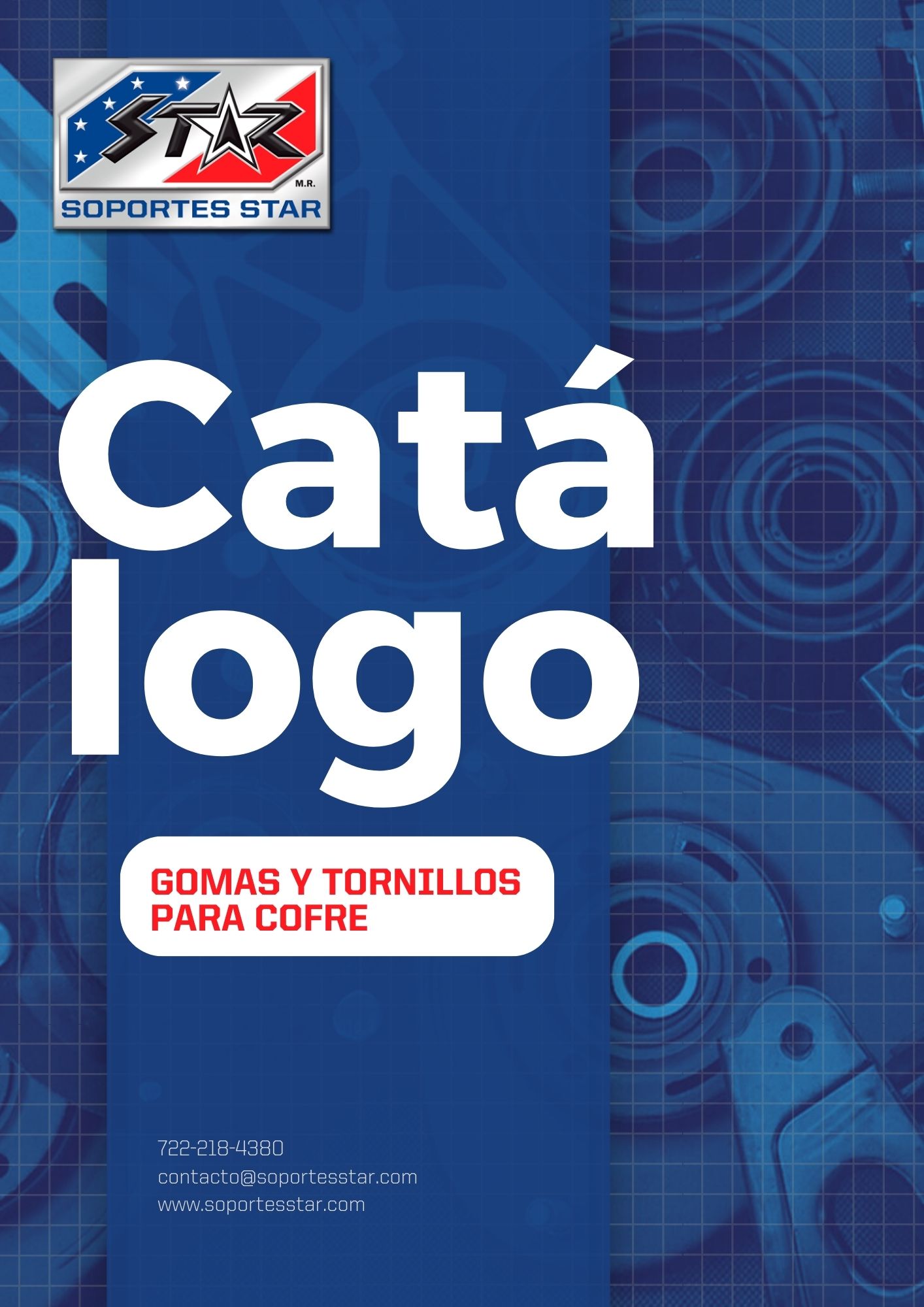 GOMAS Y TORNILLOS PARA COFRE